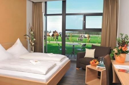 Reit- Und Sporthotel Eibenstock Rom bilde